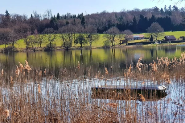 Lac De Bouzey